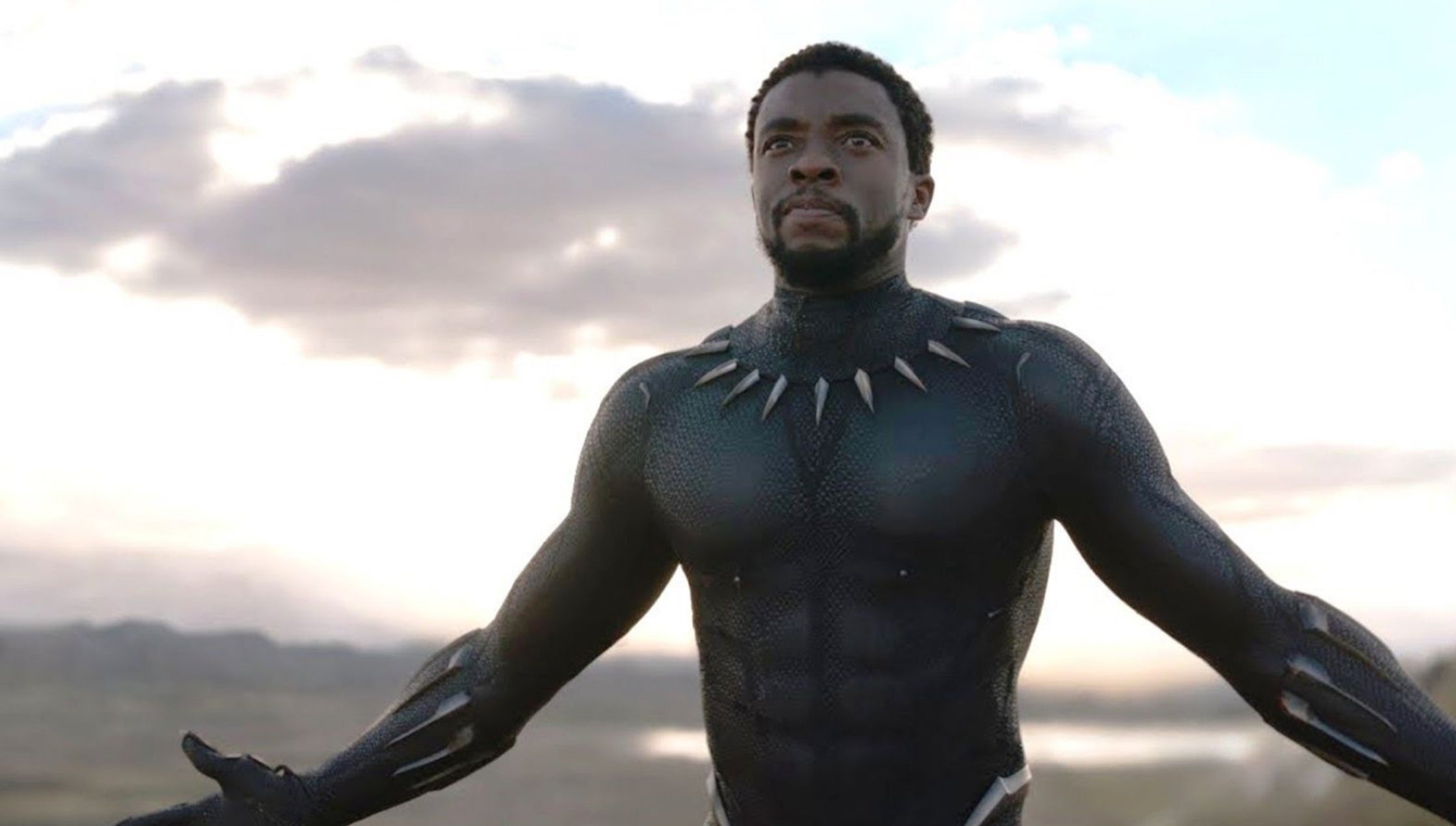 Chadwick Boseman in Marvel's Black Panther