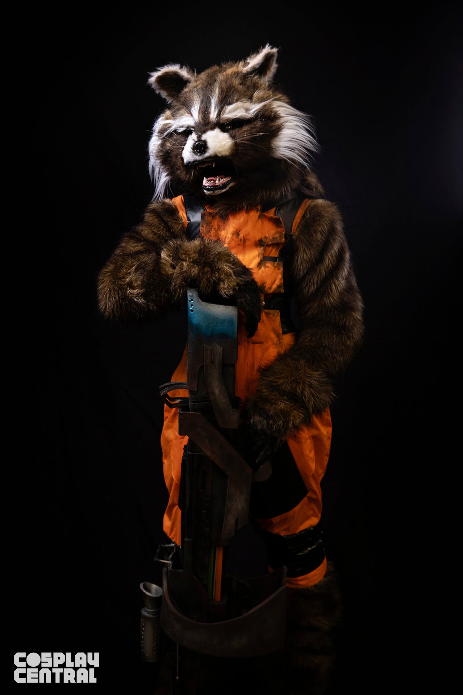 Rocket Raccoon
