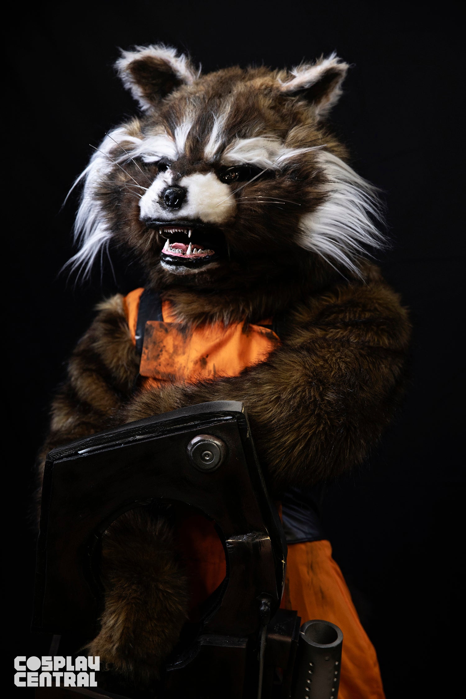 Rocket Raccoon