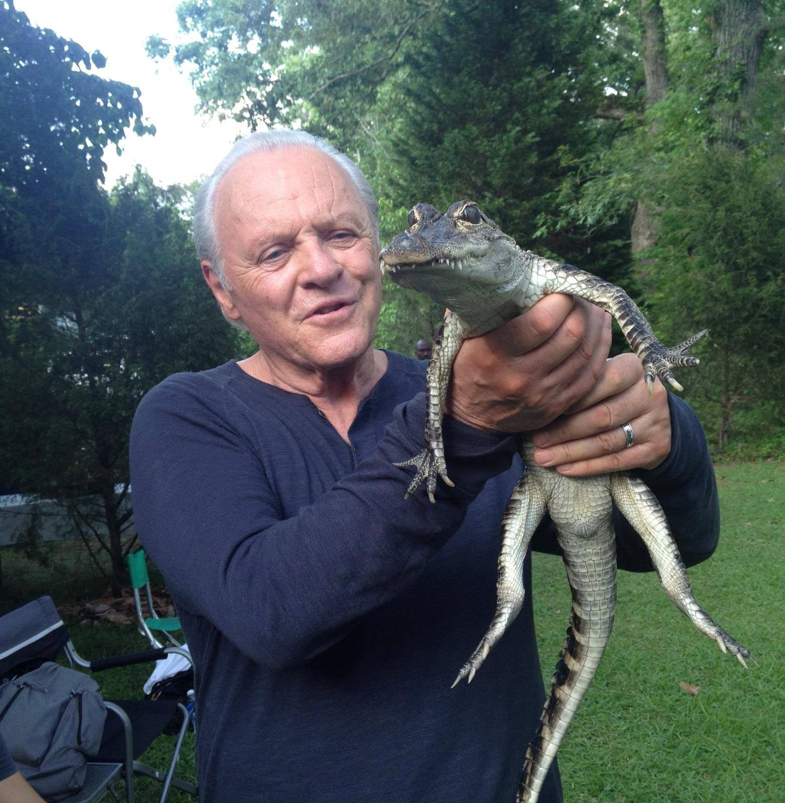 Alligator Loki